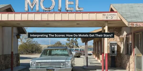 Interpreting The Scores