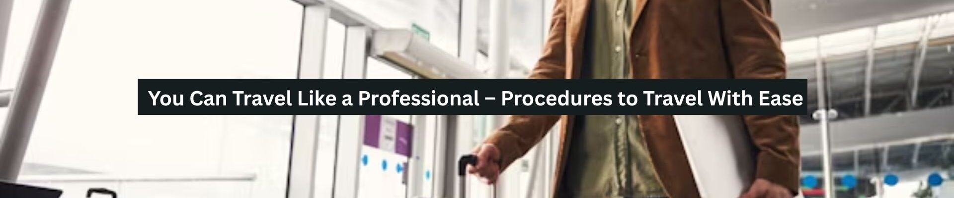 Travel Like a Professional