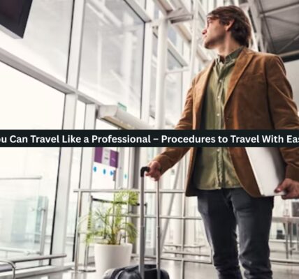 Travel Like a Professional